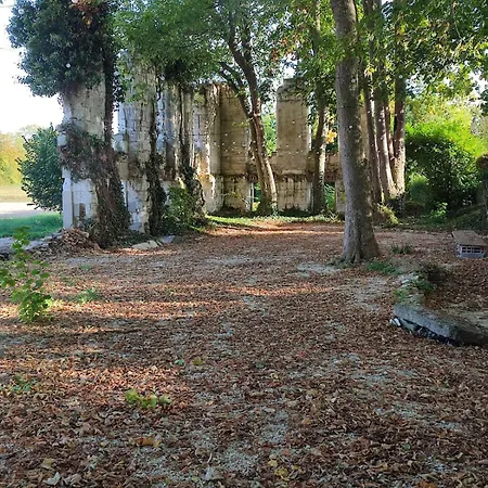 Maison Paloma *